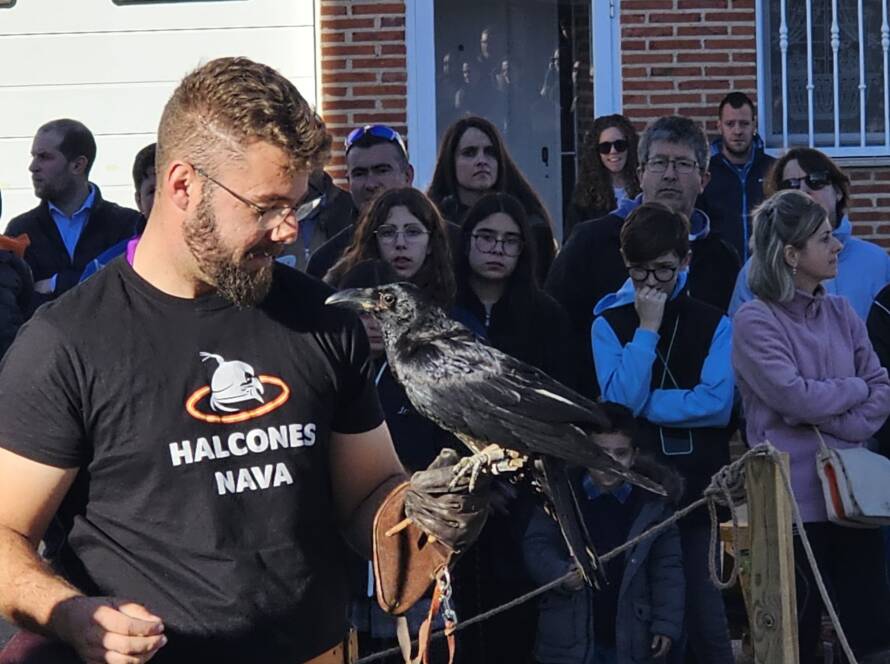 demostración halcones nava